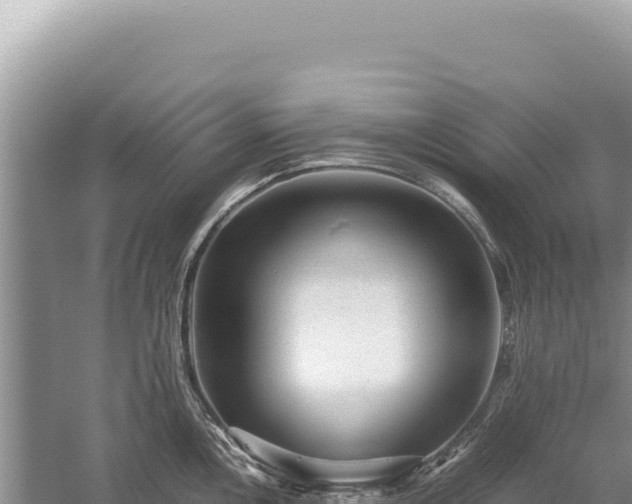 X0000059251146200510211622