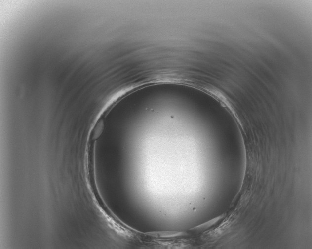 X0000059251147200510211622