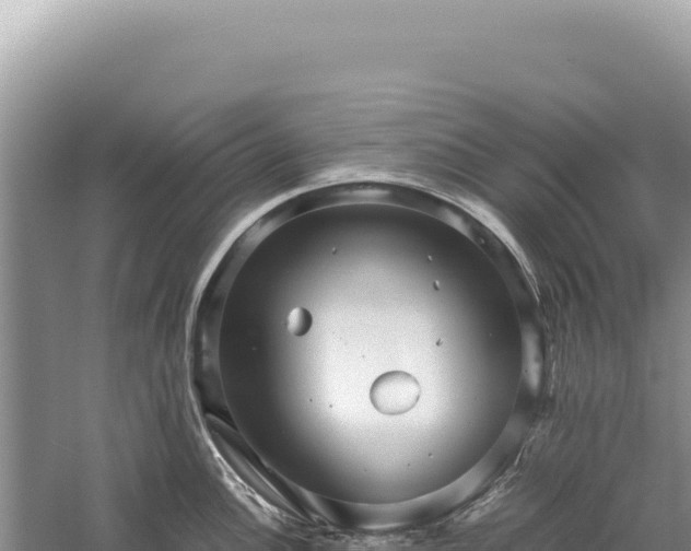 X0000059251148200510211622