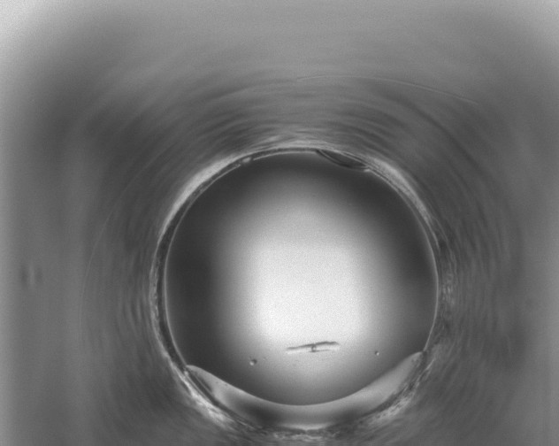 X0000059251149200510211622