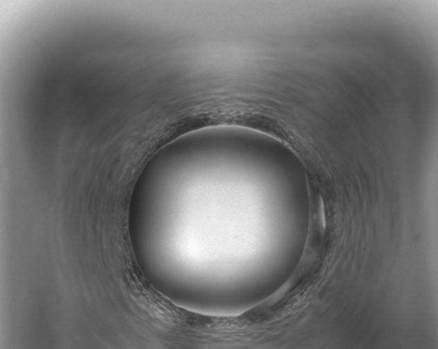 X0000059251153200510211621