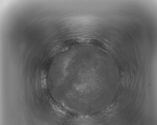 X0000059251154200510211621