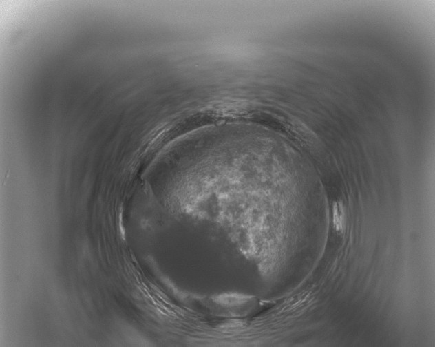 X0000059251155200510211621