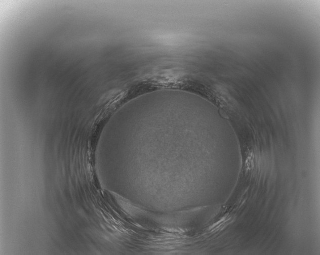 X0000059251156200510211621