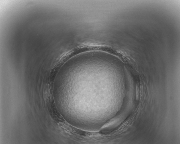 X0000059251157200510211621