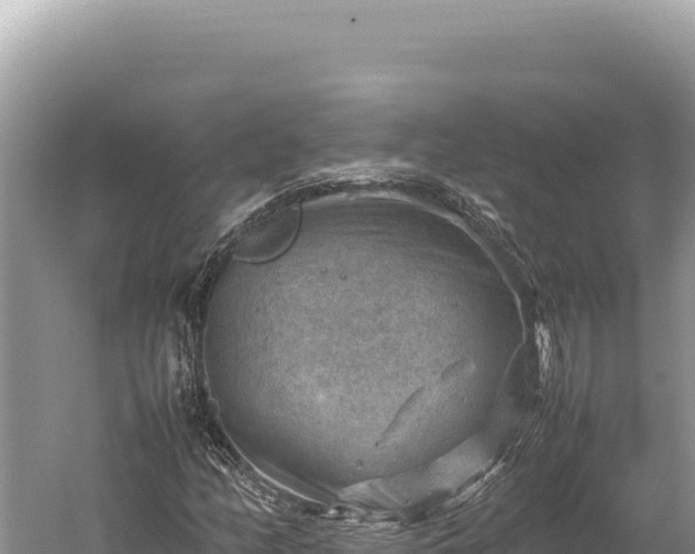 X0000059251158200510211621