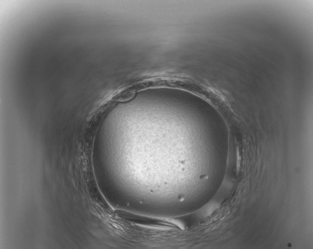 X0000059251159200510211621