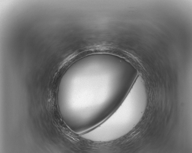 X0000059251160200510211621