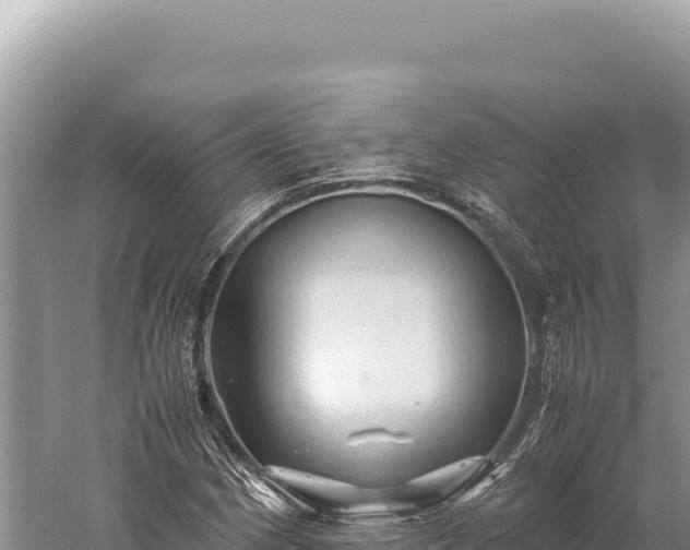 X0000059251162200510211621