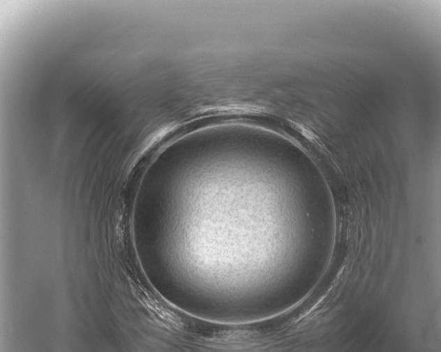 X0000059251163200510211621