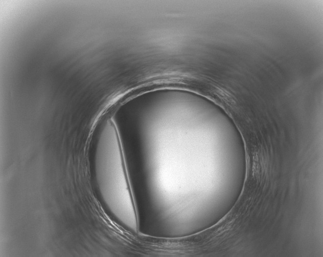 X0000059251164200510211621