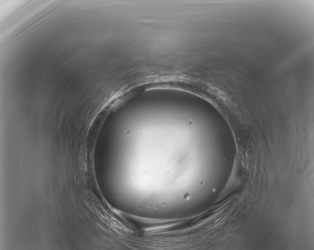 X0000059251165200510211621