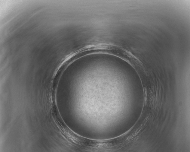 X0000059251166200510211621