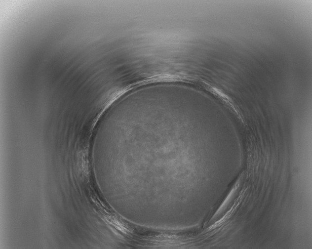 X0000059251170200510211621