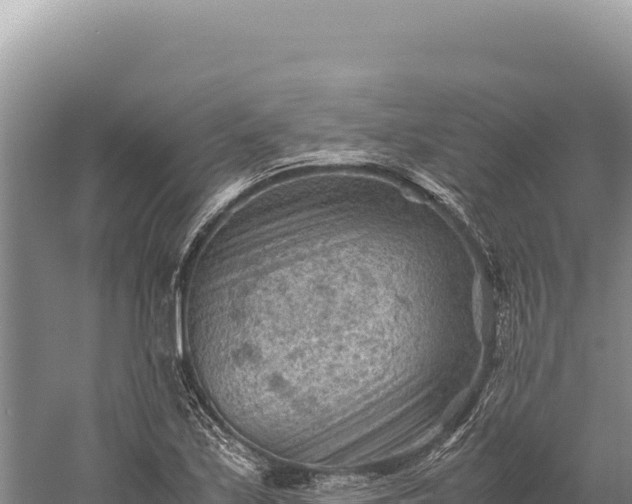 X0000059251171200510211621