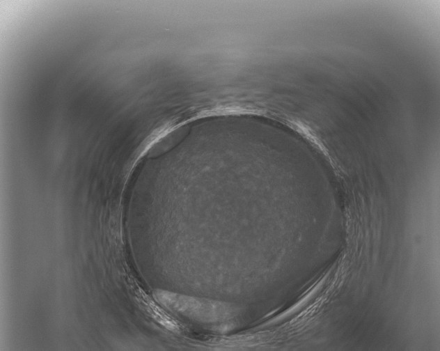 X0000059251173200510211621