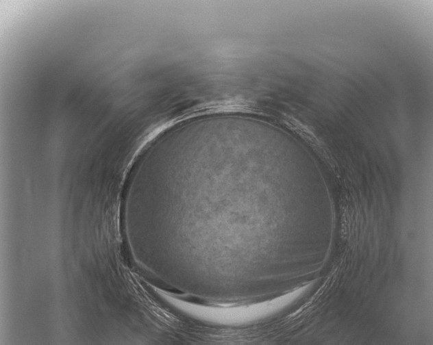 X0000059251174200510211621