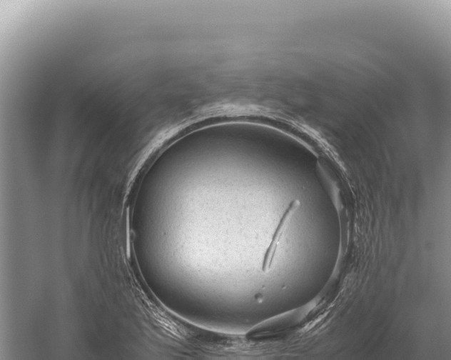 X0000059251175200510211621