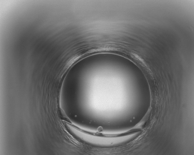 X0000059251177200510211621