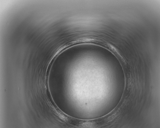 X0000059251178200510211621