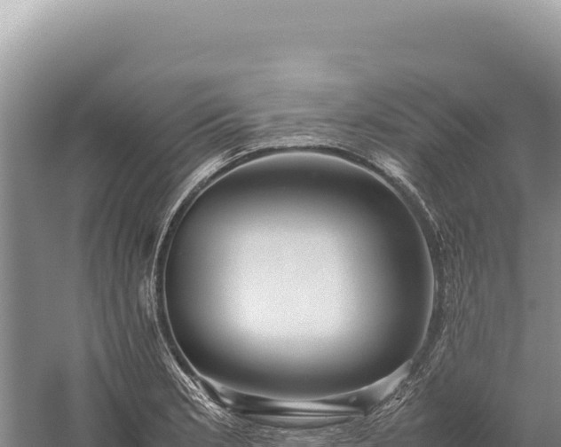 X0000059251181200510211621