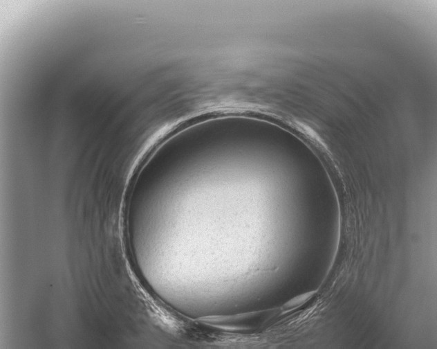 X0000059251183200510211621