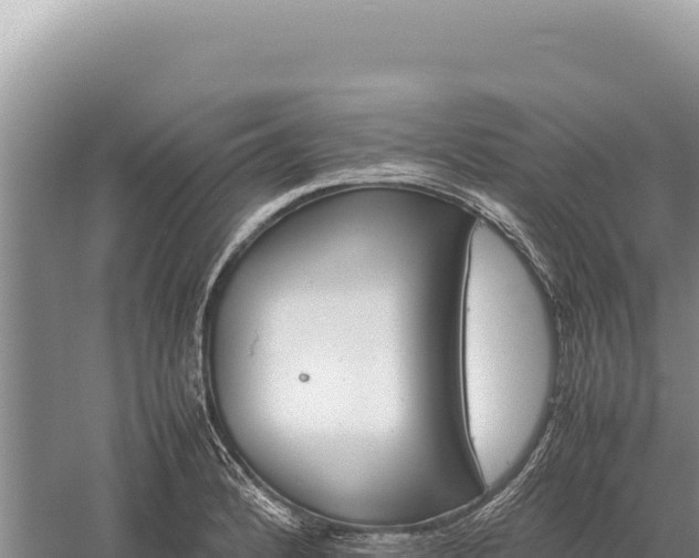 X0000059251184200510211621