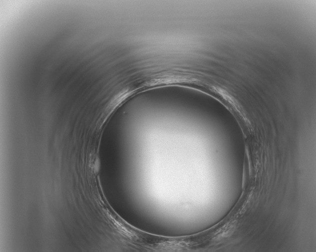 X0000059251185200510211621