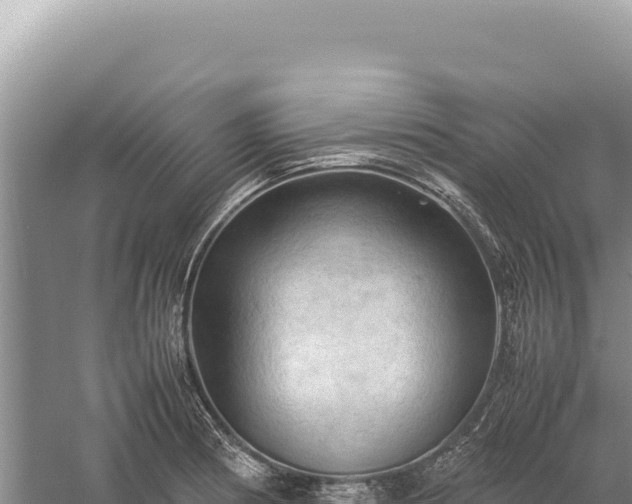 X0000059251186200510211621