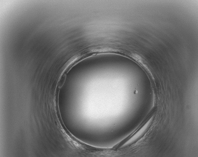 X0000059251189200510211621