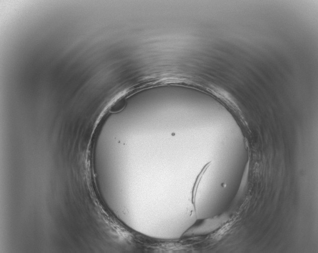 X0000059251190200510211621