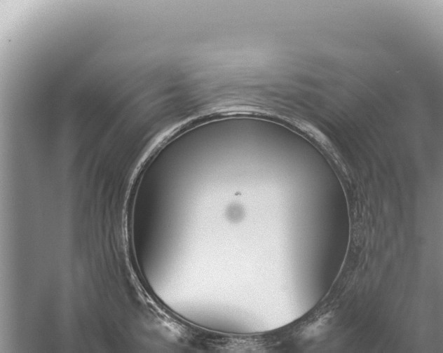 X0000059251191200510211621