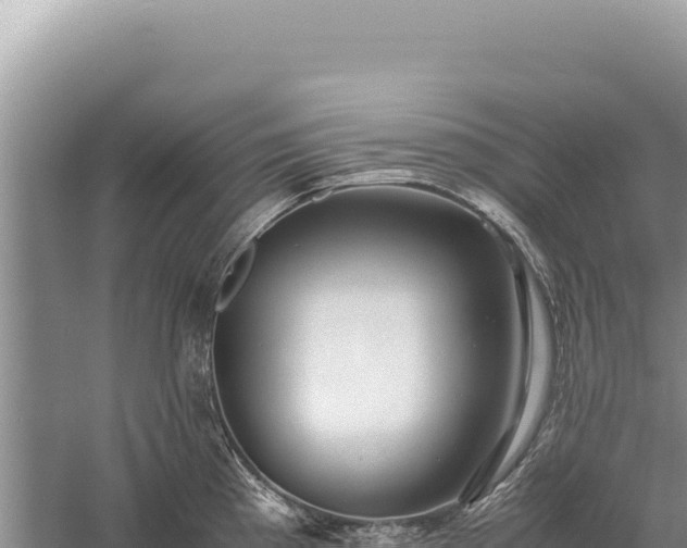 X0000059251193200510211621