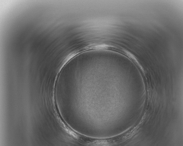 X0000059251194200510211621