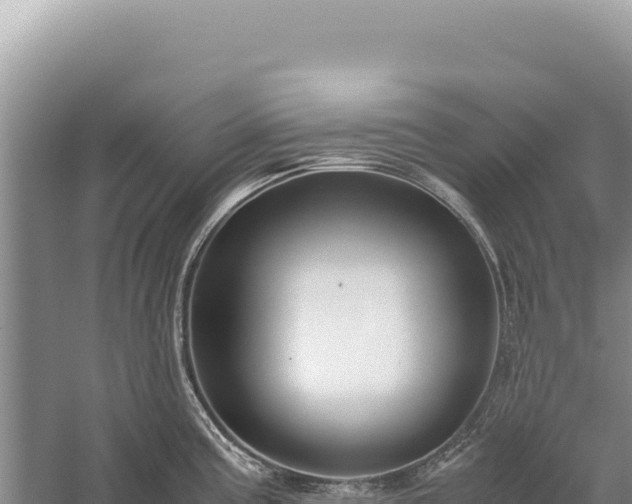 X0000059251195200510211621