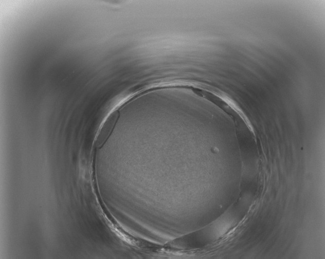 X0000059251197200510211620