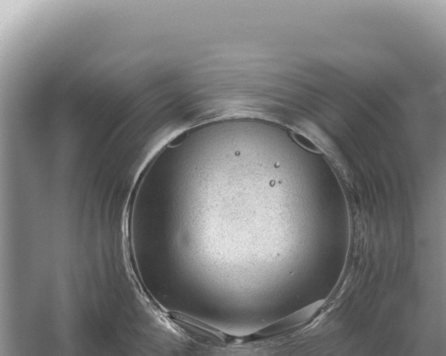 X0000059251198200510211620