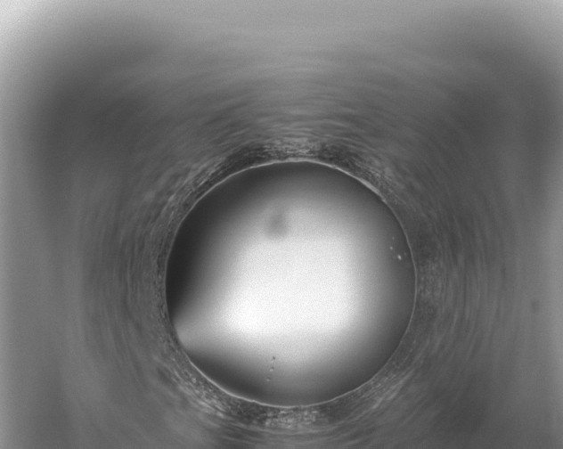 X0000059251201200510211620