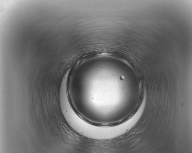 X0000059251202200510211620