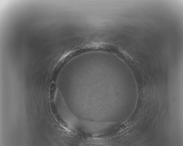 X0000059251206200510211620