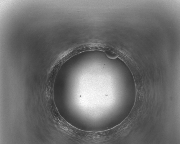 X0000059251207200510211620