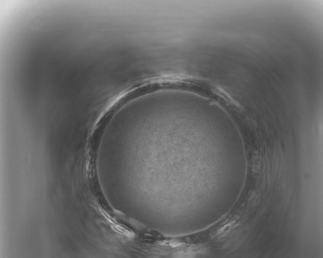 X0000059251208200510211620