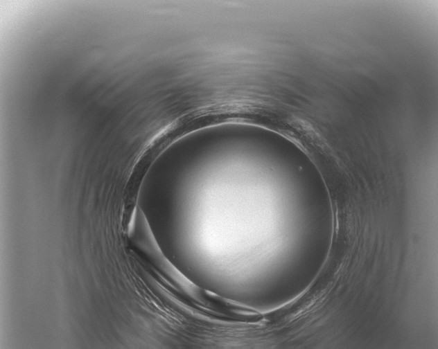 X0000059251210200510211620