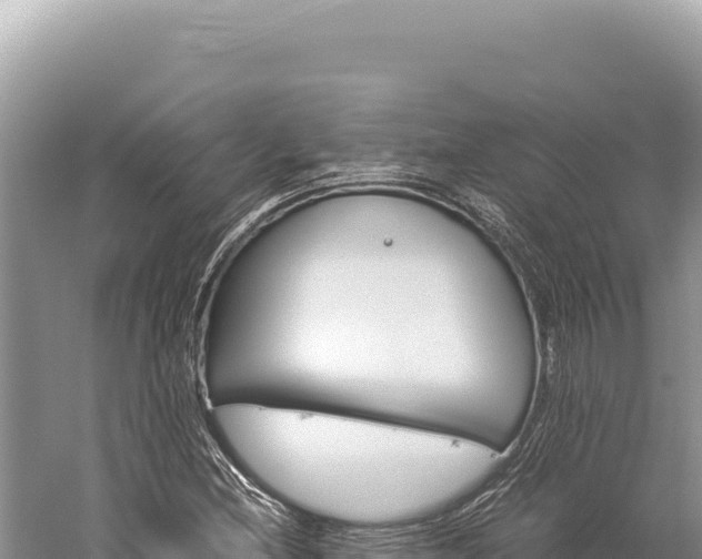 X0000059251212200510211620