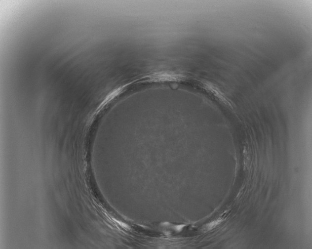 X0000059251213200510211620