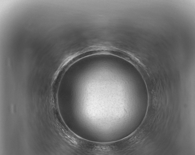 X0000059251215200510211620