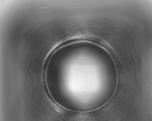 X0000059251216200510211620