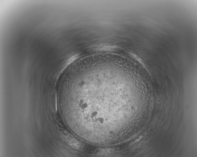 X0000059251219200510211620