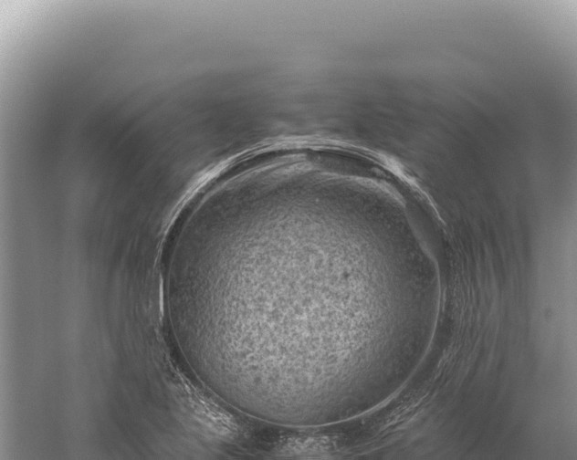 X0000059251221200510211620