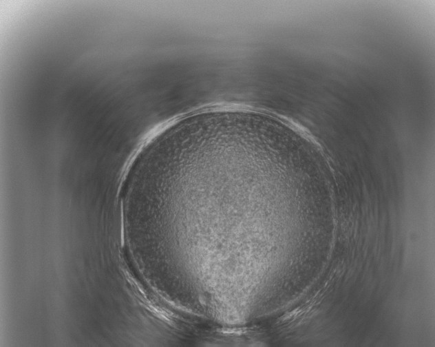 X0000059251223200510211620